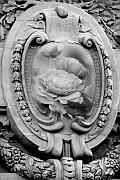 Wall_Art_Alphabet_Photography_Art_ 1664
